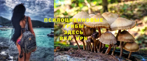 трава Балабаново